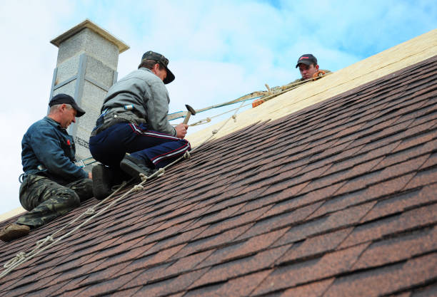 Best Flat Roof Repair Services  in Waukegan, IL